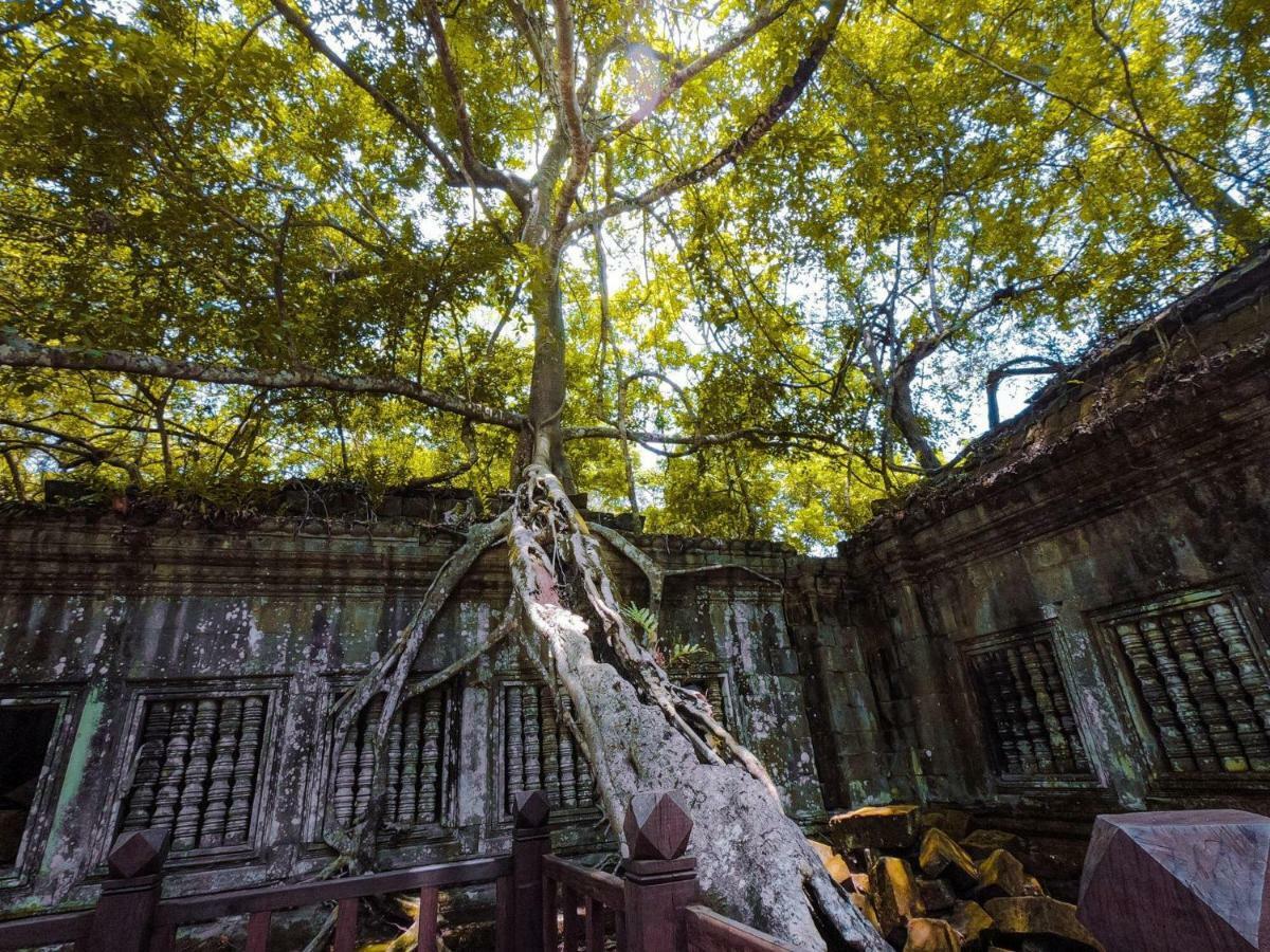 Anachak Angkor Residence Siem Reap Bagian luar foto